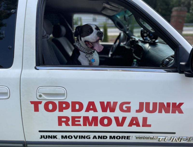 topdawg junk removal dog with head out of window